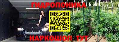 винт Новокубанск