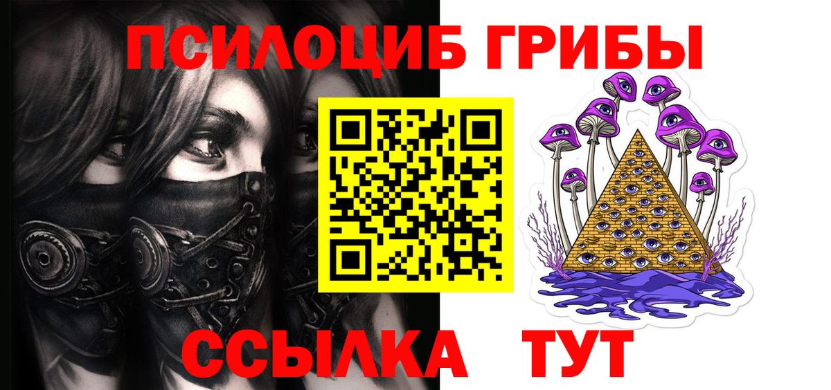 Псилоцибиновые грибы Cubensis Арзамас