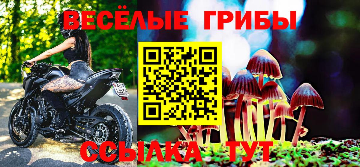 Галлюциногенные грибы Magic Shrooms  Вход с VPN  Арзамас 